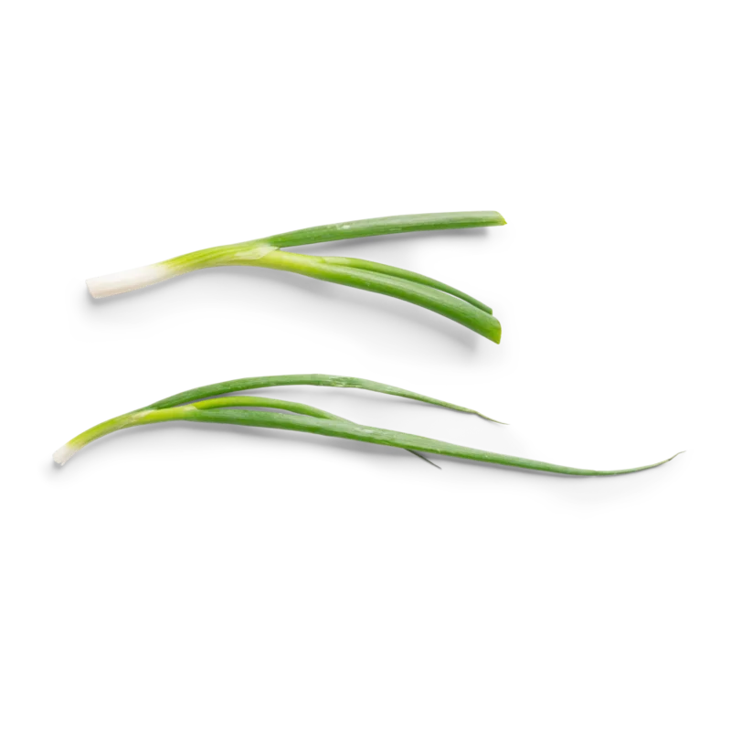 Bio Leek